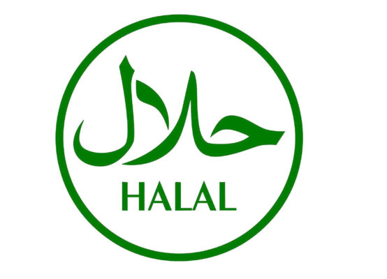 logo 5